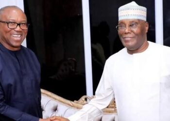 The Problem with Political Coalition in Nigeria, by Sylvester Emmanuel