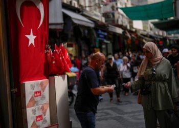 Turkey Cuts Interest Rates Again as Inflation Slows