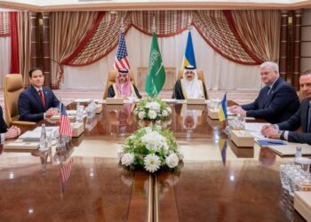 Ukraine Agrees to US-Proposed 30-Day Ceasefire