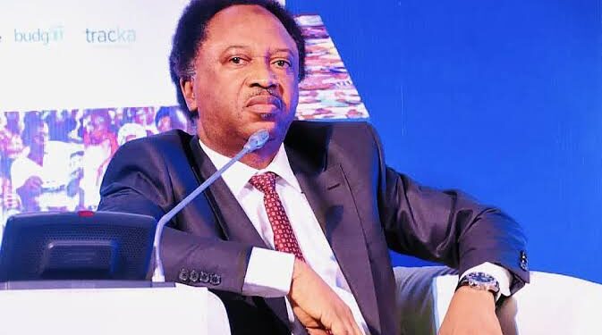 Shehu Sani: Mistakes some activists made in 1999 still affecting Nigeria’s democracy