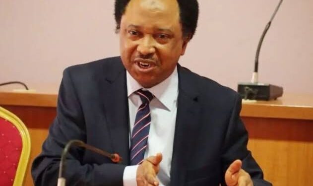 Reforming judiciary alone can’t transform Nigeria – Shehu Sani