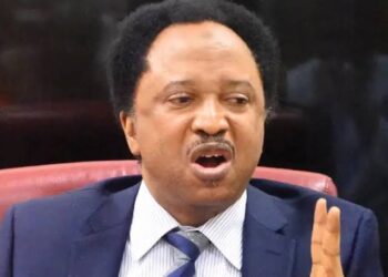 2027: Uba Sani’s return as Kaduna Governor my major interest – Shehu Sani