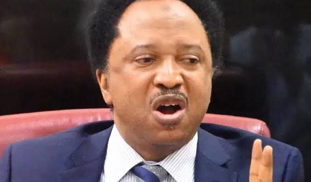 2027: Uba Sani’s return as Kaduna Governor my major interest – Shehu Sani