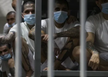 El Salvador offers bold deal to Venezuela over jailed migrants and activists