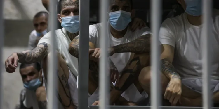 El Salvador offers bold deal to Venezuela over jailed migrants and activists