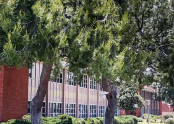 Los Angeles to Pay 4 Billion Dollars in Child Abuse Case Settlement