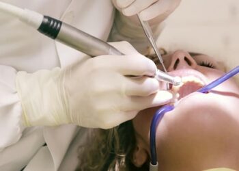 New Hope for Missing Teeth as Scientists Grow Real Teeth in the Lab