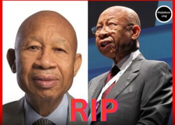 Pascal Dozie, Founder of Defunct Diamond Bank, Dies at 85
