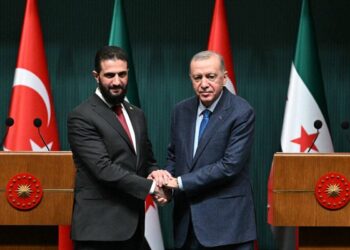 Erdogan Pledges Continued Turkish Support to End Sanctions on Syria