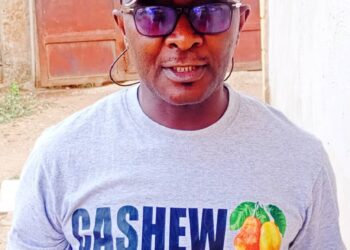 National Cashew Summit Will Shape Nigeria’s Cashew Industry – Organisers