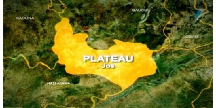 Plateau killings not mere herder-farmer clashes – Group