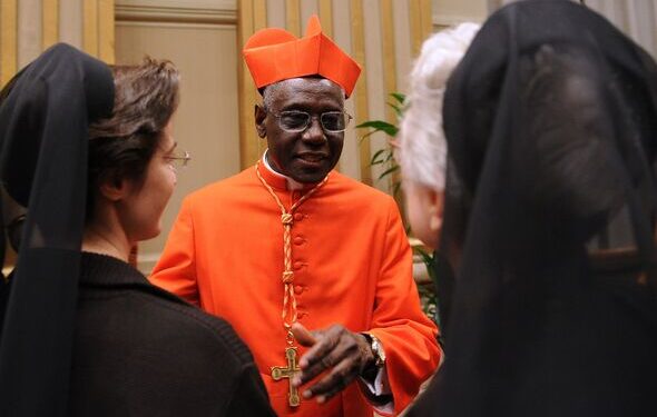 African Cardinal Gains Support as Talk of Papal Successor Grows