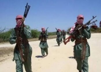 15 Vigilantes, Others Killed, as New Terror Group, ‘Mahmuda’ Emerges In North-Central Nigeria