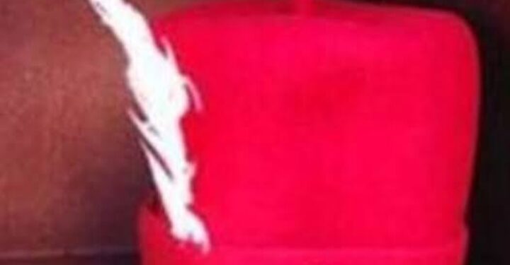 Abia Government’s Move to Cage Traditional Rulers: Undemocratic, Autocratic