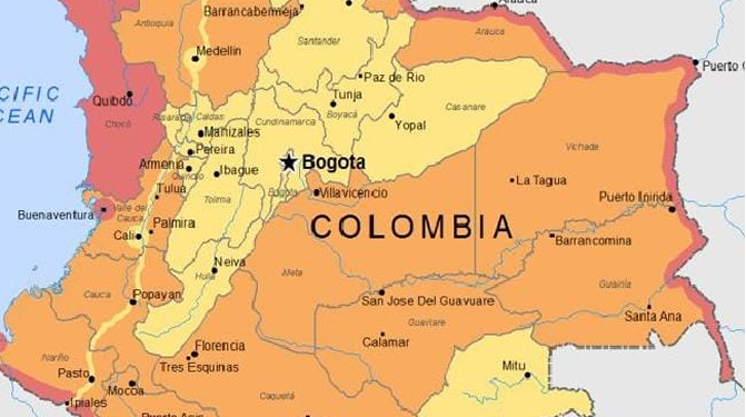 Yellow fever outbreak triggers emergency in Colombia 