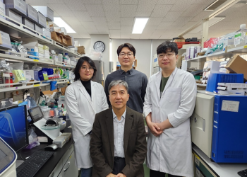 Scientists in South Korea might’ve just changed the cancer game