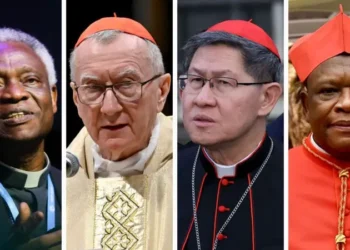 African cardinals take part in choosing next Pope