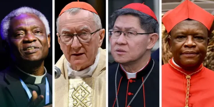 African cardinals take part in choosing next Pope