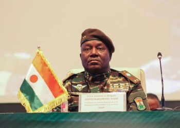 Experts Fault Niger’s Withdrawal From MNJTF