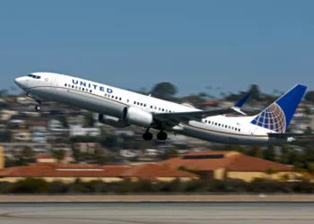 Rabbit Runs into Jet Engine Sparks Fire on United Flight from Denver
