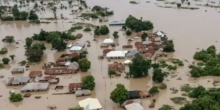 JUST-IN: 115 Bodies Recovered In Niger’s Flood Disaster
