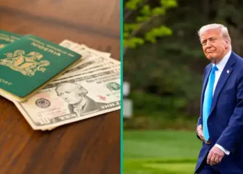 Six Nigerians Sent Home by US Over Crimes as Deportation Numbers Rise