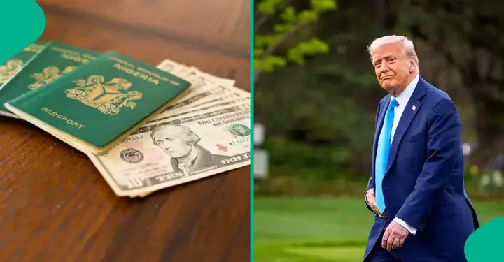 Six Nigerians Sent Home by US Over Crimes as Deportation Numbers Rise