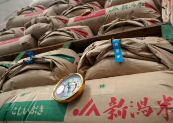 Rice Prices Double in Japan as Shortages Hit Households and Politics