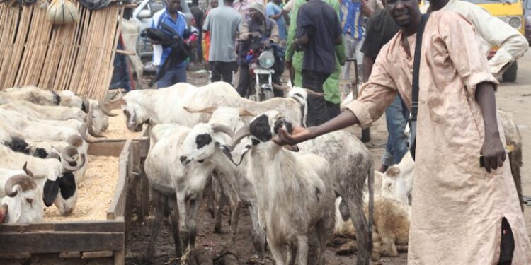 Saudi Arabia Announces June 6 as Eid el Adha