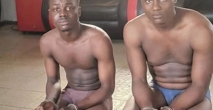 Delta: Police arest brothers for abducting, robbing man of N70m