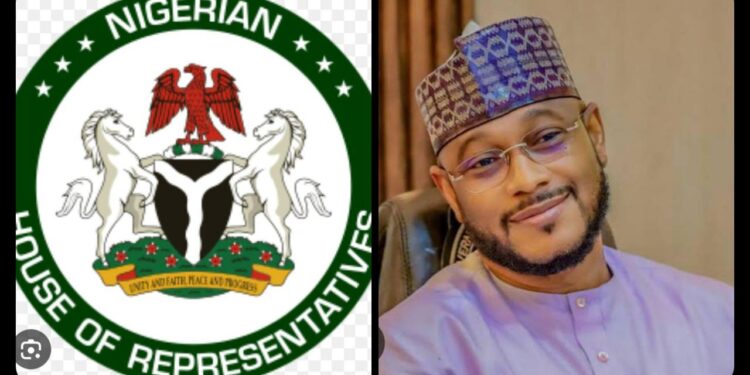 Zamfara Lawyers Support Summons Of Governor Lawal Over Assembly Crisis