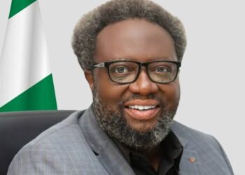 Nnanyelugo and the 30 Percent Value-Added Raw Materials Fortune