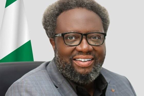 Nnanyelugo and the 30 Percent Value-Added Raw Materials Fortune