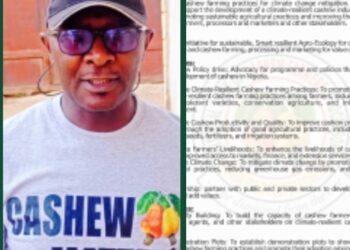 Cashew Farmers Launch Initiative for Climate-Resilient Practices