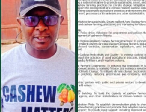 Cashew Farmers Launch Initiative for Climate-Resilient Practices