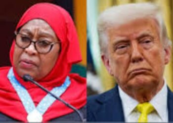 Tanzania Bans Use of Foreign Currencies, Including US Dollar, for Local Transactions