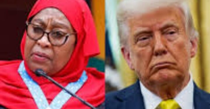 Tanzania Bans Use of Foreign Currencies, Including US Dollar, for Local Transactions