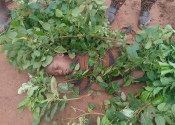 Deadly Flood Hits Niger State: 30 People Dead, Over 100 Still Missing