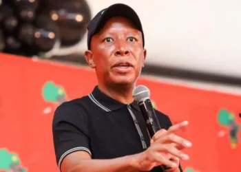 Julius Malema Misses UK Trip After Visa Delay Sparks Outrage
