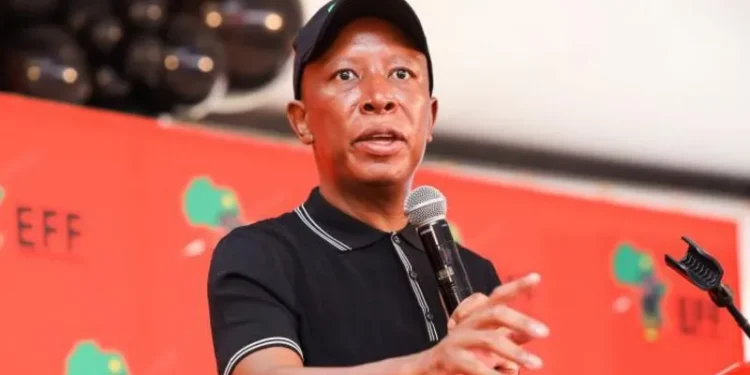 Julius Malema Misses UK Trip After Visa Delay Sparks Outrage