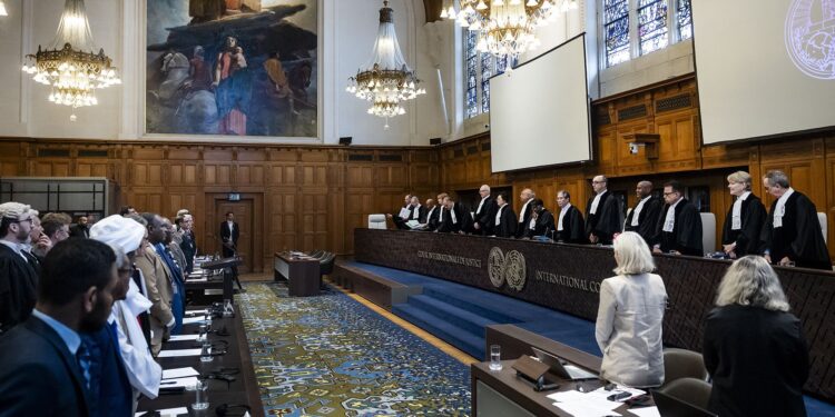 UN Court Throws Out Sudan Case Against UAE Over Darfur Conflict