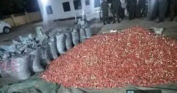 PHOTOS: Troops Seize Over 164,000 Live Cartridges Allegedly Destined for IPOB/ESN