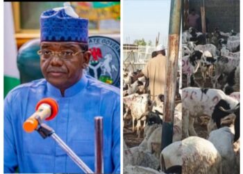 Eid al-Adha:State defence minister ,Matawalle donates 3,000 Rams to Zamafara
