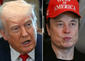 Trump, Musk Clash Over Controversial Tax Cut Proposal