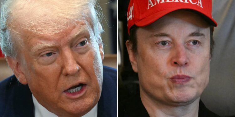 Trump, Musk Clash Over Controversial Tax Cut Proposal