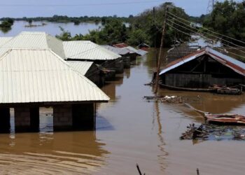 Tinubu Approves N2 Billion for Resettlement of Niger Flood Victims