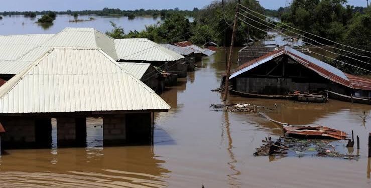 Tinubu Approves N2 Billion for Resettlement of Niger Flood Victims