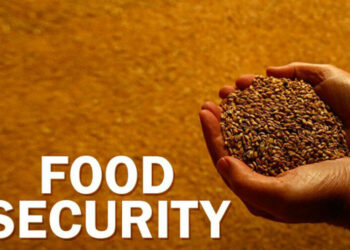 FG Deepens Collaboration with Japan, Seeks ¥15bn to Boost Food Security