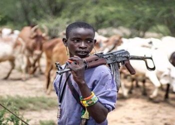 Just In: Many Feared Dead in Bloody Herders’ Attacks in Benue