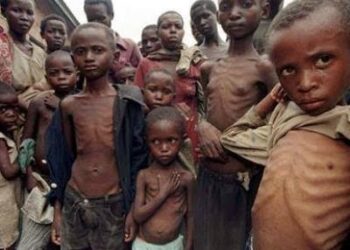 EU Earmarks N900 Million to Fight Malnutrition in Northeast Nigeria